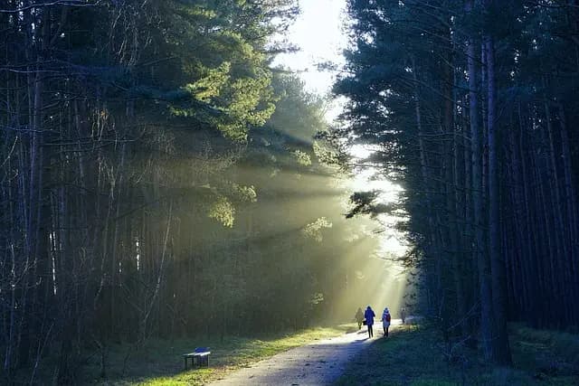 Insolite : 10 itinéraires méconnus pour explorer la France