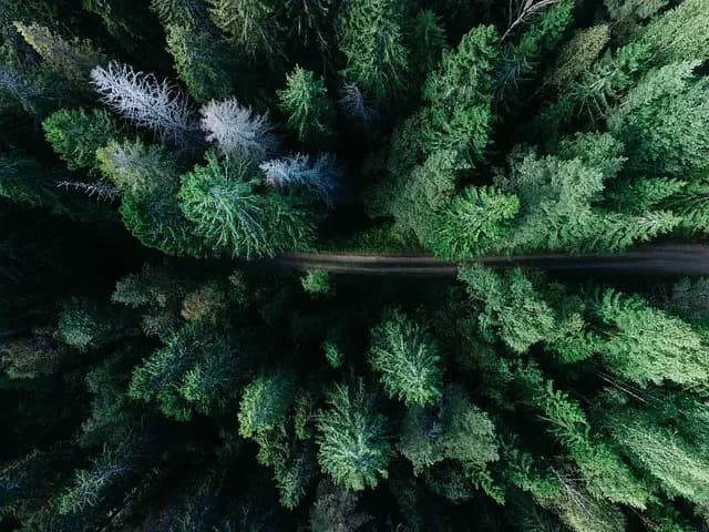 Les itinéraires insolites à travers les paysages cachés de France