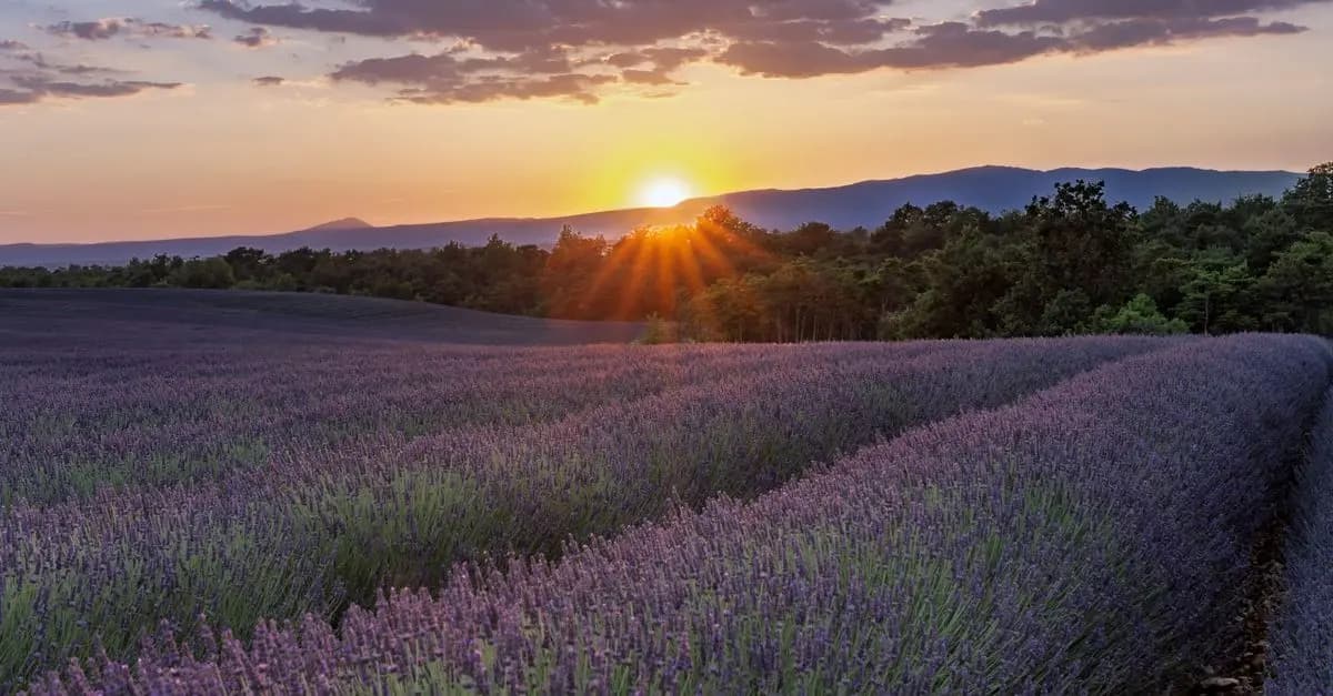 Top 5 des itinéraires insolites en France à explorer