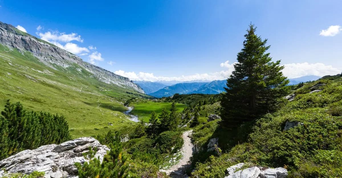 Les itinéraires insolites à découvrir en pleine nature