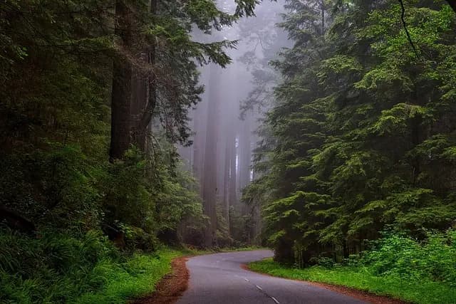 Les Chemins Cachés : Itinéraires Insolites à Explorer