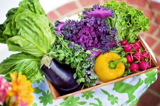 Les itinéraires insolites à travers les jardins secrets de France