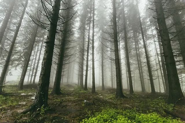 Insolite : Les itinéraires méconnus en France à explorer