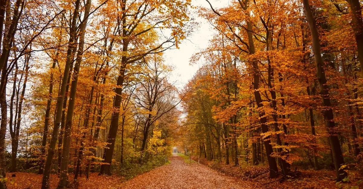 5 itinéraires insolites à explorer pour un week-end mémorable