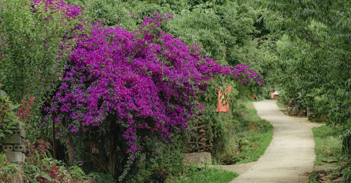 Les itinéraires insolites à travers les jardins secrets