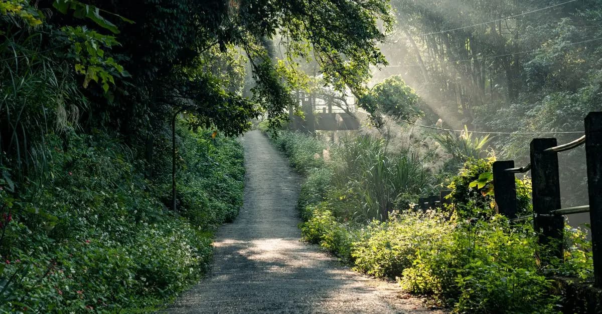 Paradoxe urbain : des itinéraires naturels en pleine ville