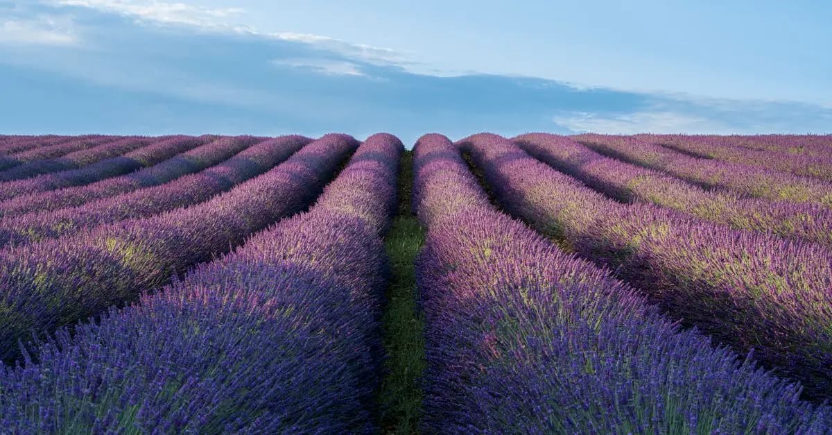 5 itinéraires insolites à découvrir en France