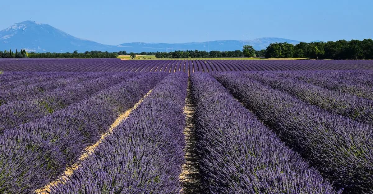 Itinéraires Insolites en France : Des Trésors Cachés à Explorer