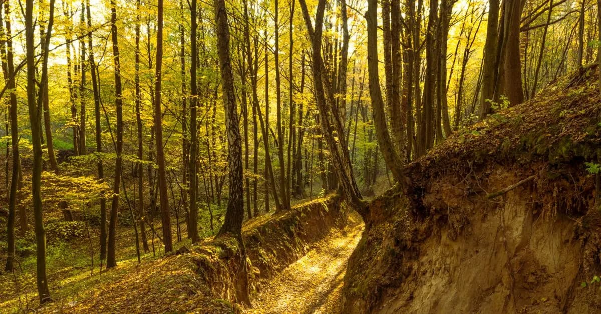 Découvrez les itinéraires insolites en pleine nature