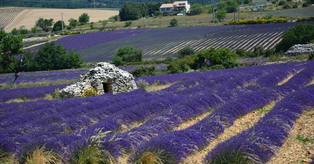 10 itinéraires insolites à découvrir en France
