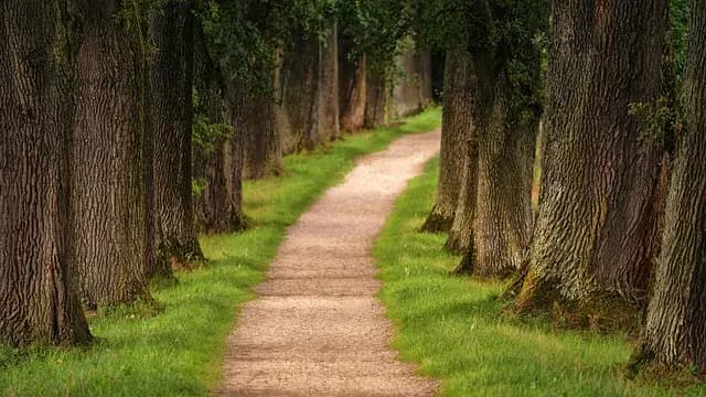 10 itinéraires insolites à explorer pour une aventure originale