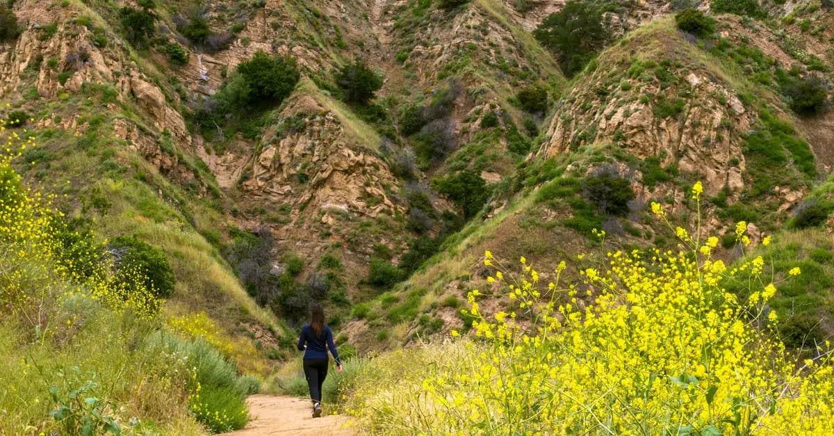 Les itinéraires insolites à explorer en pleine nature