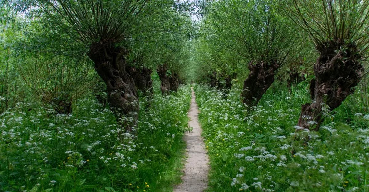 10 itinéraires insolites à explorer en France
