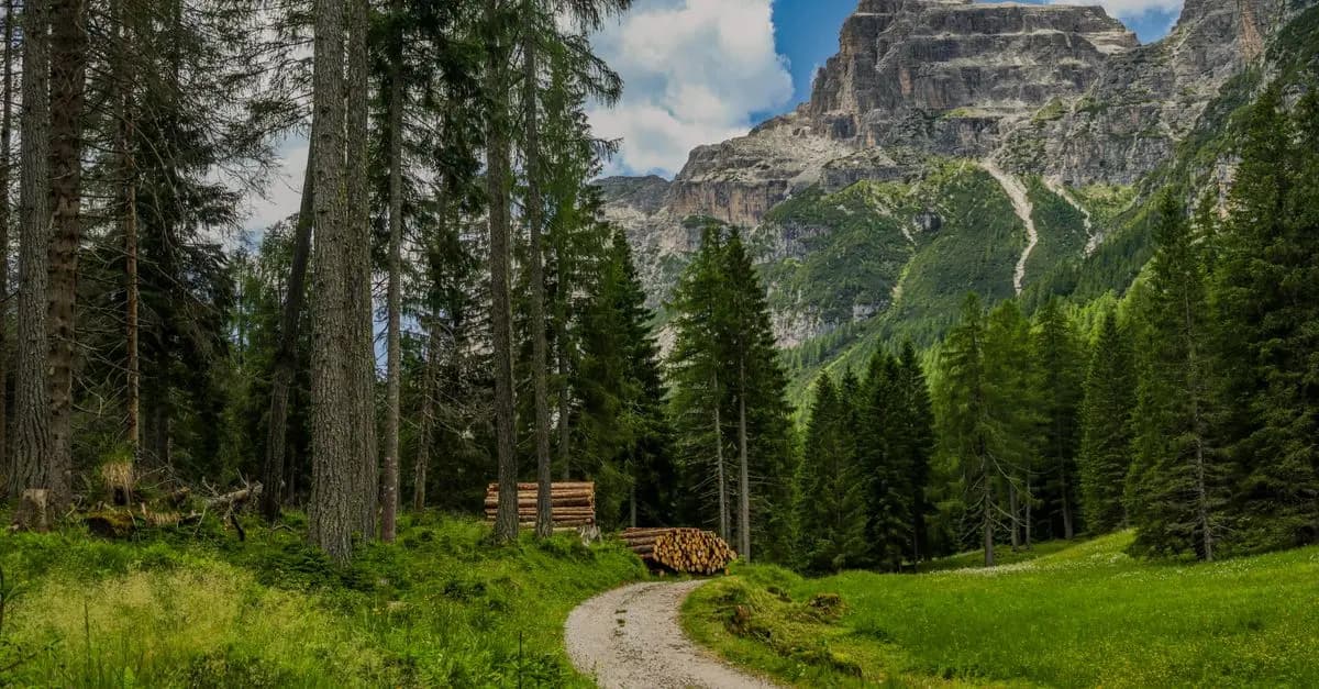 Les itinéraires insolites à explorer pour une aventure audacieuse