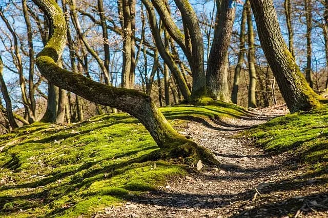 10 itinéraires insolites en pleine nature à découvrir