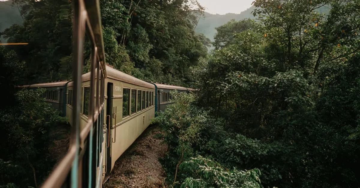 Itinéraires insolites en train à ne pas manquer