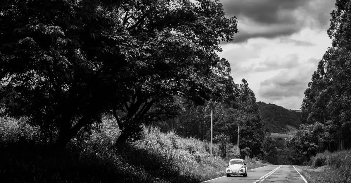 Guide pratique pour un road trip en Europe insolite