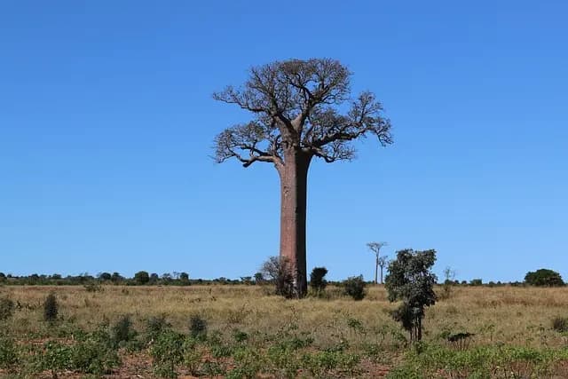 Les itinéraires insolites à travers les villages cachés