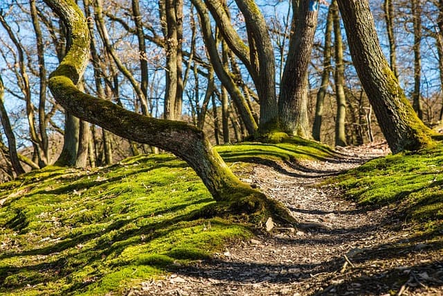 À la découverte des itinéraires insolites en pleine nature