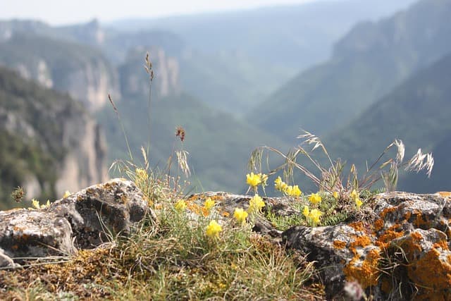 Les 7 itinéraires insolites à emprunter pour un road trip unique