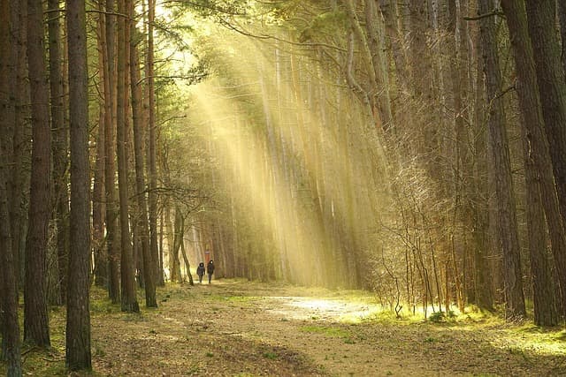 Séjours Insolites : 5 Destinations à Explorer Absolument