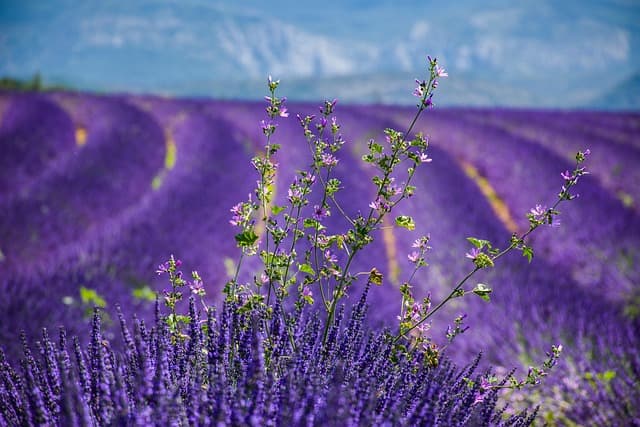 5 itinéraires insolites en France pour un week-end magique