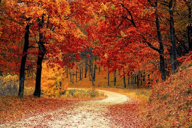 À la découverte des itinéraires saisonniers : routes enchantées