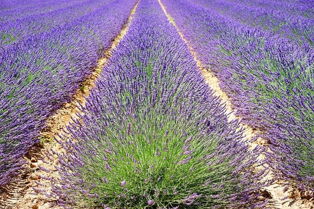 Les 7 itinéraires insolites à découvrir en France
